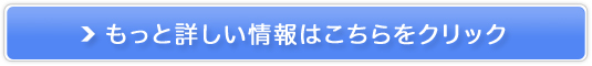ǂȎ胋[WAejAyvC[Wz̔TCg